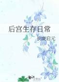 后宫生存升级日常