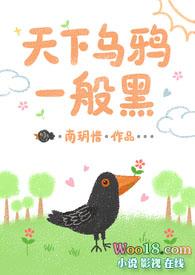 天下乌鸦一般黑1V2 苏慕染
